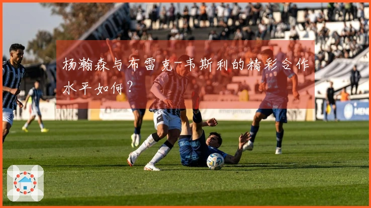 杨瀚森与布雷克-韦斯利的精彩合作水平如何？