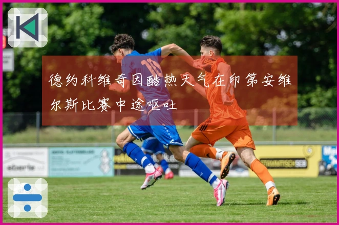 德约科维奇因酷热天气在印第安维尔斯比赛中途呕吐