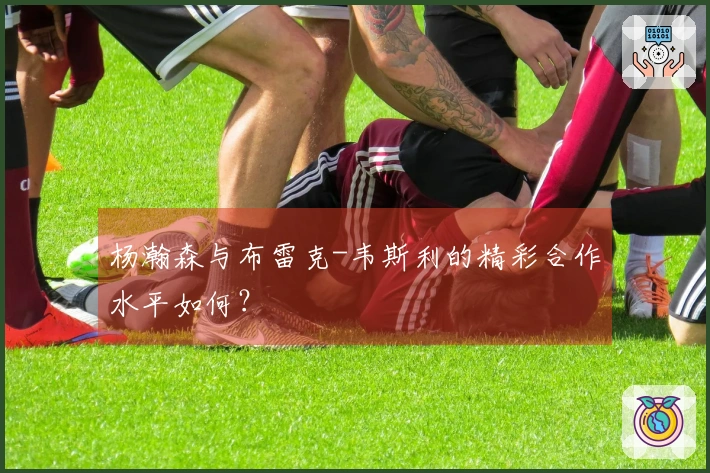 杨瀚森与布雷克-韦斯利的精彩合作水平如何？