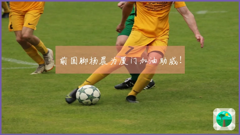 前国脚杨晨为厦门加油助威！