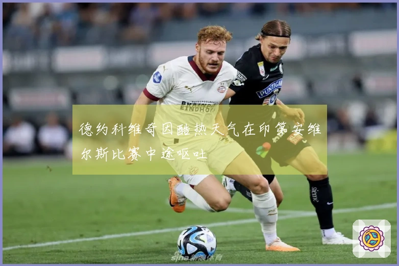 德约科维奇因酷热天气在印第安维尔斯比赛中途呕吐